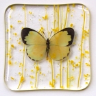 Butterfly Tile #4 - SOLD