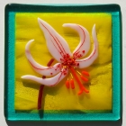 erythroniumtilew