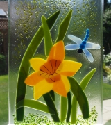 Daffodil & Dragonfly